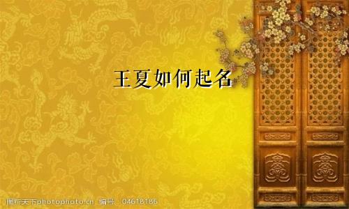 王夏如何起名