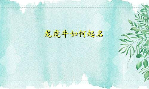 龙虎牛如何起名