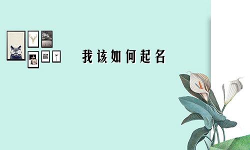 我该如何起名