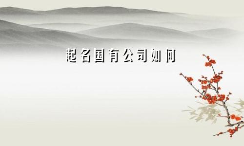 起名国有公司如何