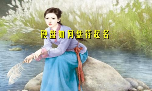 硬盘如何盘符起名