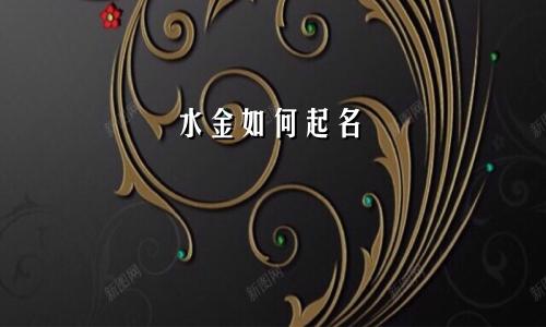 水金如何起名