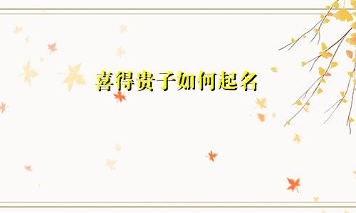 喜得贵子如何起名