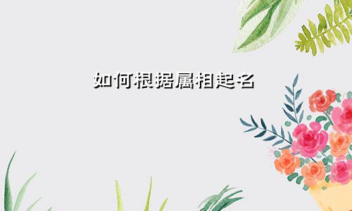 如何根据属相起名