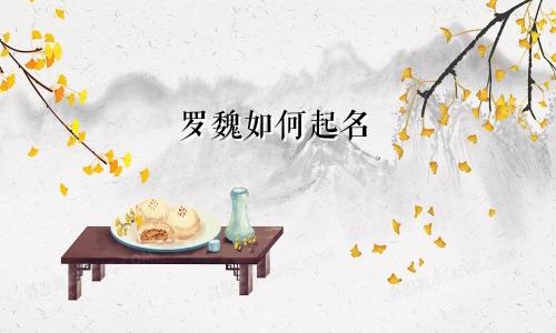 罗魏如何起名