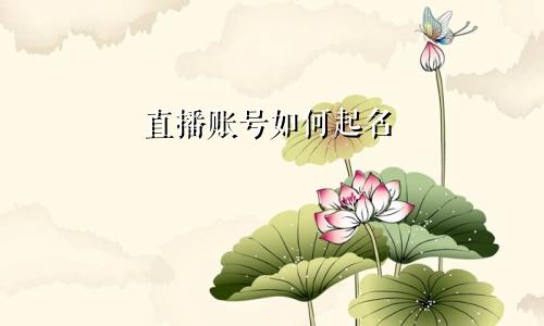 直播账号如何起名