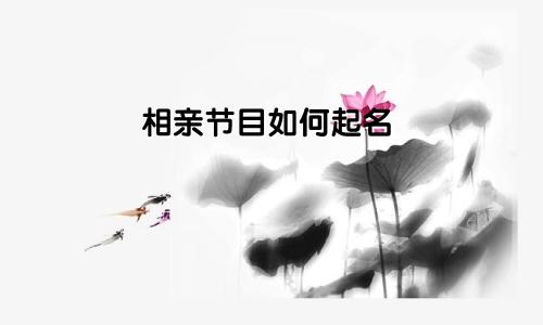 相亲节目如何起名