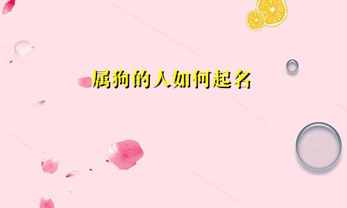 属狗的人如何起名