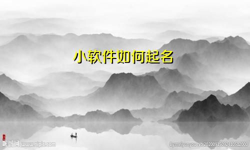 小软件如何起名