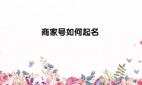商家号如何起名