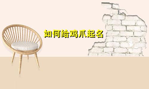 如何给鸡爪起名