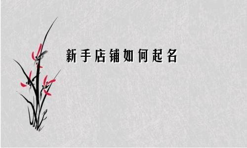 新手店铺如何起名