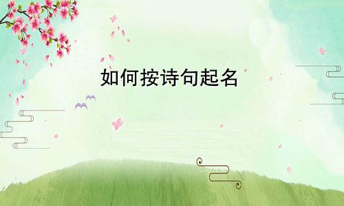 如何按诗句起名