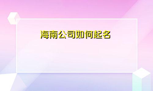 海南公司如何起名
