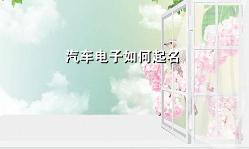 汽车电子如何起名