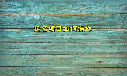 起名项目如何操作