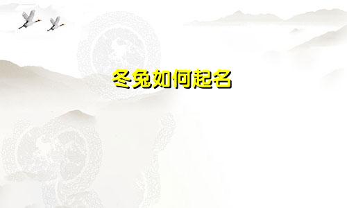 冬兔如何起名