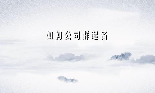 如何公司群起名