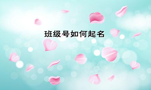 班级号如何起名