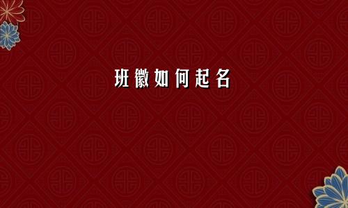 班徽如何起名