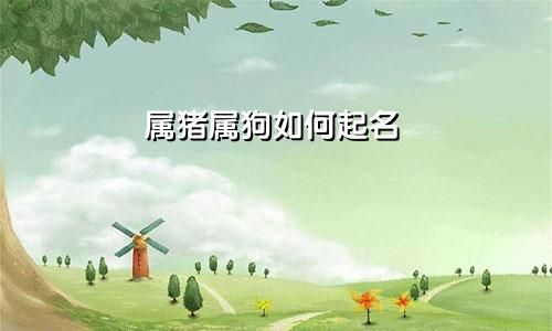 属猪属狗如何起名