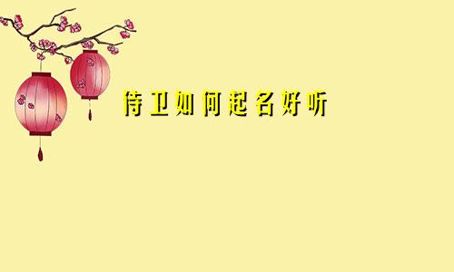 侍卫如何起名好听