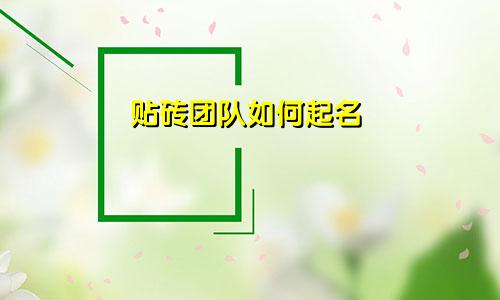 贴砖团队如何起名