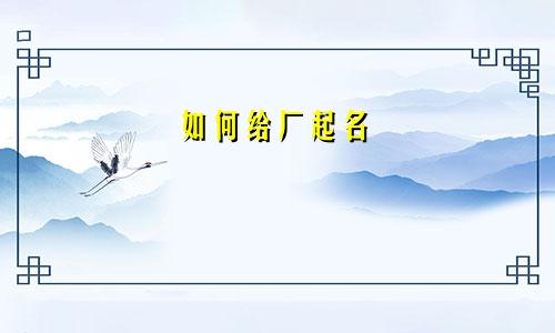 如何给厂起名