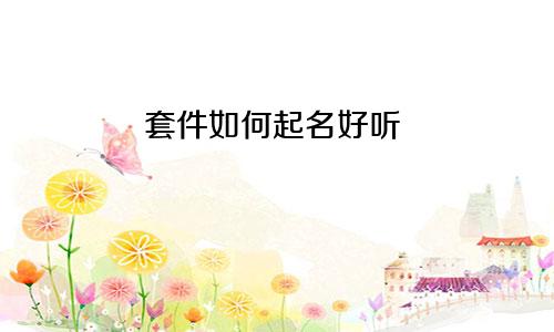 套件如何起名好听