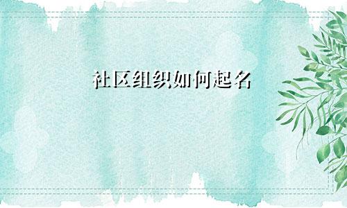 社区组织如何起名