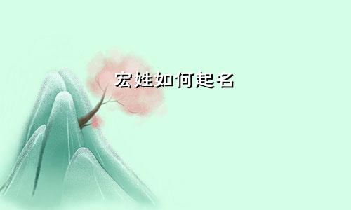 宏姓如何起名