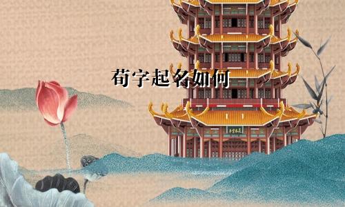 荀字起名如何
