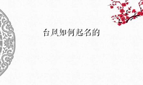台风如何起名的