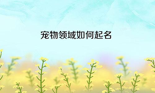 宠物领域如何起名