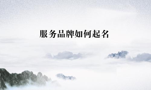 服务品牌如何起名