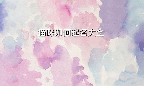 猫咪如何起名大全