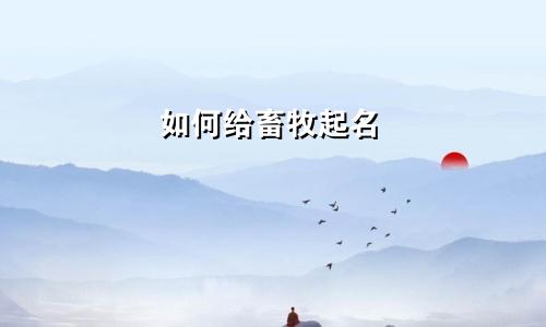 如何给畜牧起名