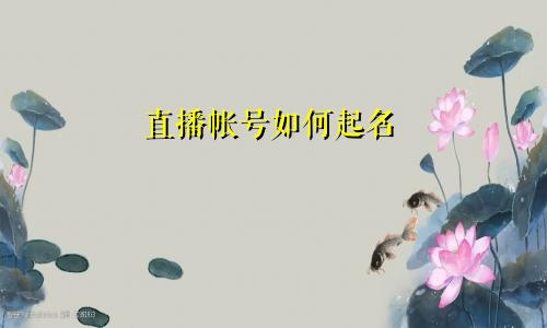 直播帐号如何起名
