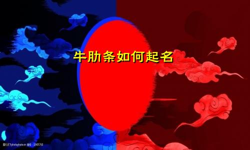 牛肋条如何起名