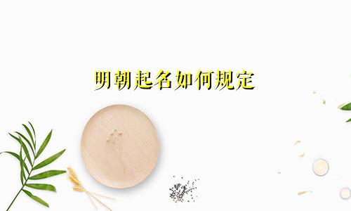 明朝起名如何规定