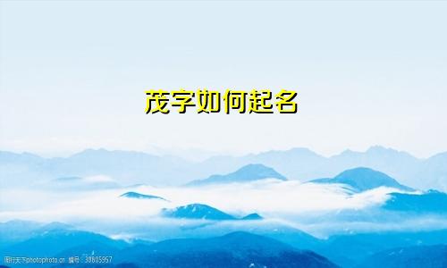 茂字如何起名