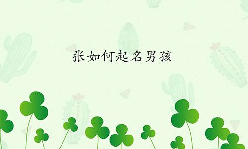 张如何起名男孩