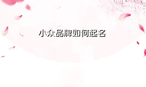 小众品牌如何起名
