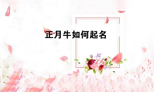 正月牛如何起名