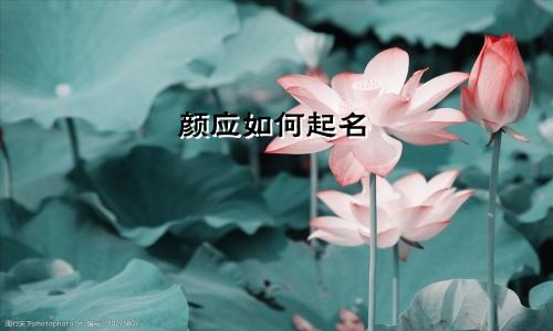 颜应如何起名