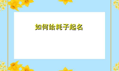 如何给耗子起名