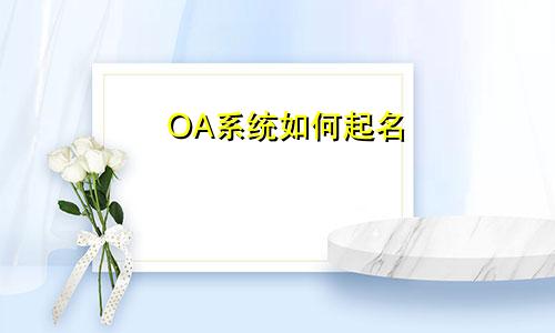 OA系统如何起名