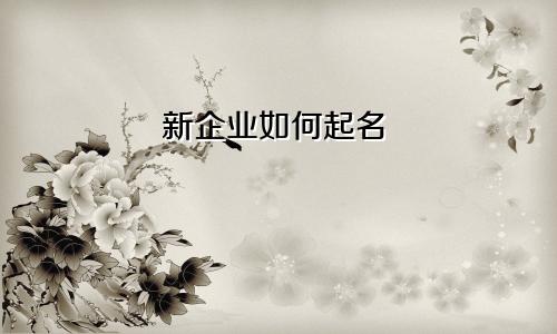 新企业如何起名