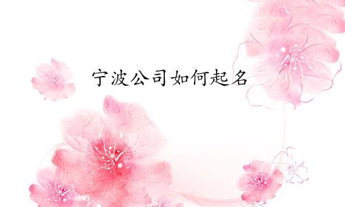 宁波公司如何起名