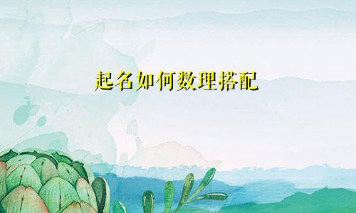 起名如何数理搭配